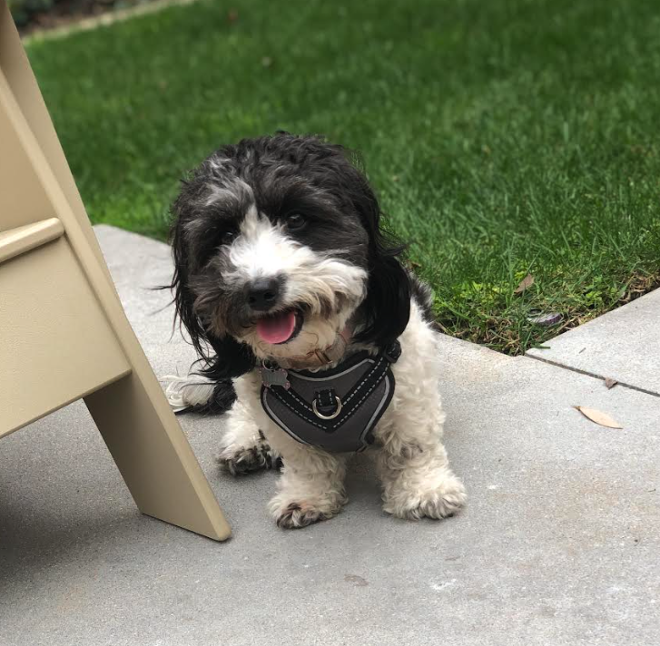 Lola